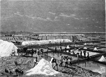 Saltframställning: vy av ett saltkärr (saltvatten) gravyr från 1800-talet