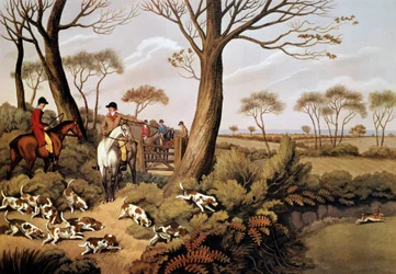 Scen för att jaga harar i England. 1800-talslitografi Gien, jaktmuseum