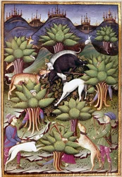 Scen för vildsvinsjakt Miniatyr från "" Behandla falkejakt och venerier med mottot och emblemet för hertigen av Sforza" 1459 (ms. 1375) Chantilly, Musee Conde