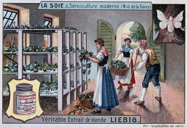 Siden: sidenverkstad i södra Frankrike, Liebig publicitet, v. 1895