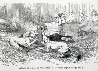Sophie and the wolf - i "The misfortunes of Sophie"" av grevinnan av Ségur, Hachette