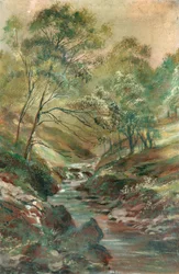 Strömma genom en skogen