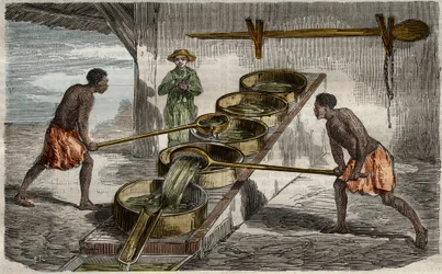 Sockertillverkning: pannor för kokning av sockerrörsjuice i en sockerfabrik i Västindien. Gravyr från 1859 i "Le Musee Des Sciences"