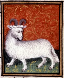Väduren. Miniatyr av ett horoskop. 1400-talsmanuskript. Bibl. Trivulziana, Milano.