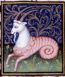Stenbocken. Miniatyr av ett horoskop. 1400-talsmanuskript. Bibl. Trivulziana, Milano.