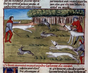 Hare Hunt Miniature från "The Book of Hunting" av Gaston III Phoebus, greve av Foix, Lord of Bearn (1331-1391)