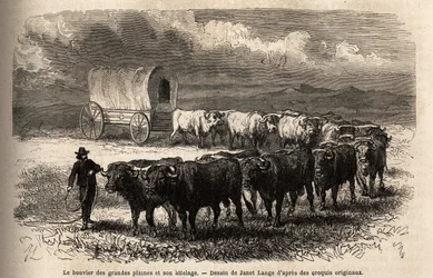 De stora vidderna styr och dess krok. Gravyr för illustration av resan till amerikanska fjärran västern, av M. L. Simonin, 1867, publicerad i "Le tour du monde, nouveau journal des voyages", redigerad av Edouard Charton
