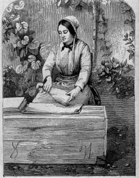 Buteljering av champagnevin. Gravyr från 1864.