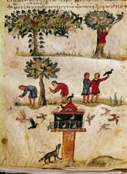 Uppfödning och träning av miniatyrfalkar från jakten ""The Cynegetics"" av Oppian (Oppian eller Oppianus) i Syrien (3:e århundradet e.Kr.) tillägnad Caracalla. 1000-talets Venedig. Biblioteca Marciana