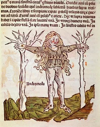 Stjärnbilden Andromede Detail härrör från "" Poeticon astronomicon"" tillskriven den romerske historikern Hygin (Gaius Julius Hyginus) (1:a århundradet f.Kr.) (Andromedas stjärnbild, från "" Poeticon astronomicon"" tillskriven Hyginus (1:a århundradet f.Kr