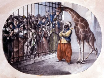 Den nyfikna folkmassan rusade för att se en giraff bakom en grind. Litografi av Danhaaren. 1829