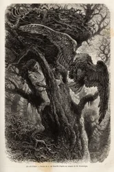 Örnen skyddar sitt bo från inkräktaren. Gravyr för att illustrera berättelsen Quatre mois en Florida, av M. Pousselgue, 1851-1852, publicerad i "" le tour du monde", under ledning av D