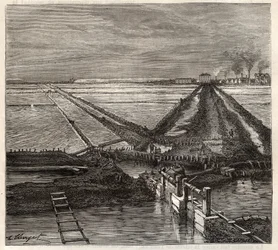 Saltkärret i Giraud i Camargue (Bouches-du-Rhone), vy tagen från servicekanalen - gravering i 