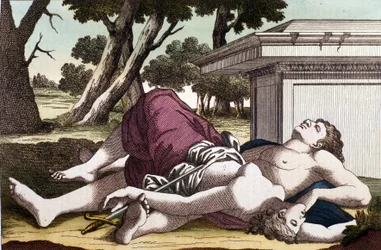 Pyramus självmord under mullbärsträdet och Thisbes död. Övertygad om att lejoninnan hade slukat Thisbe, tog Pyramus sitt liv och täckte de vita mullbären med sitt blod. Thisbe, som gömde sig för lejonet, finner sin älskade död och begår självmord