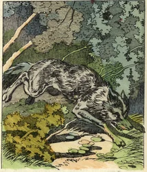 Vargen springer till mormors hus. Illustration av berättelsen "Rödluvan" av Charles Perrault