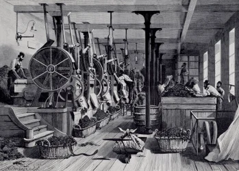 Tobaksfabrik, tvättstuga och tobaksrapage. Gravyr omkring 1867. Paris, Musee Carnavalet