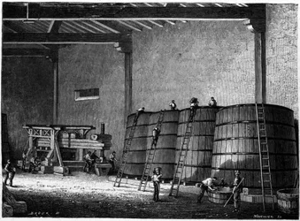Kar och press som används i vinkällare i Bourgogne Clos Vougeot Gravyr från 1800-talet