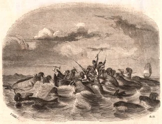Vy över en grupp engelska sjömän som jagade en valrossflock 1818 utanför Spetsbergens kust