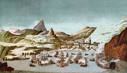 Vy över ön Saint Helene (Vy över ön Saint Helena) Gravyr från 1800-talet