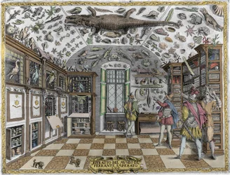 Vy över kuriosakabinettet (encyklopediskt museum) hos apotekaren Ferrante Imperato (1550 - 1631). Gravyr från 1678. Museet för den napolitanske apotekaren Ferrante Imperato.