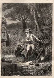 Voyage dans la Caffrerie (Sydafrika) (1781) av Francois Levaillant (Le Vaillant) (1753-1824): Levaillant och hans apa degustateur Maitre Kees, som smakar på frukterna och rötterna för att verifiera att de är ätbara - illustration hämtad från "" Les Gra
