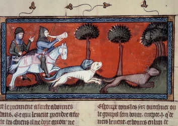 Wolf Hunt Miniature från manuskript fr. 1297 "" bok av kung Modus och drottning Ratio" av Henri de Ferrieres (1300-talet)