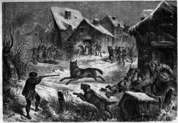 Vargjakt i byn Saliers, Bouches du Rhone (13), 31 december 1860. Gravyr i "" Le Monde Illustré"" nr 196 av 12 januari 1861.
