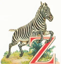 Från: Zebra