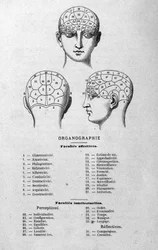 illustration från Charles Rouvins bok från 1873 Organographie La Tête humaine, illustrerade studier av frenologi och fysionomi tillämpade på kända karaktärer Paris 1873