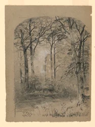 Teckning, studie av skogsmark, 1865-70