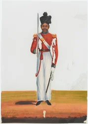 2nd Martin Battalion