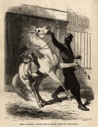 En senegalesisk spahi (kavaljer) i Saint-Louis (Saint Louis). Gravyr för att illustrera en kryssning på Afrikas kust, av viceamiral Fleuriot de Langle, 1868, publicerad i "" Le tour du monde""" 1872, redigerad av Edouard Charton, upplaga Hachette, Paris.