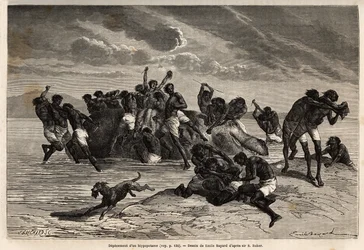 Efter att ha tagit sin andel och den andel som tilldelats Hamran-stammens ledare kämpar folkmassan brutalt om de återstående bitarna. Gravyr som illustrerar Sir Samuel W. Bakers utforskning av Nilens abessinska bifloder, i
