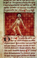 Anatomisk figur: skal, bröstet öppet. Miniatyr från manuskriptet "" Surgery" (Folio 11v) skriven av Henri de Mondeville (kirurg hos Philippe Le Bel professor i anatomi)