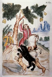 Björnjakt, från boken "Trujillo of Peru" eller "Codex Martinez Companion", av Balthazar Martinez Companion och Bujanda, biskop av Trujillo (1782-1785)