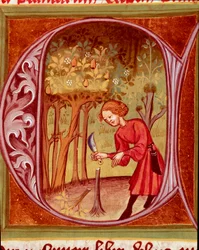 Botanik: en trädgårdsmästare som planterar om en växt. Miniatyr ur "Rustican eller Boken om landsbygdens och jordbrukets nytta" (Rerum ruralium commodorum) av Pietro de Crescenzi (Crescent Stone eller Crescens Stone) (1233-1320), 1300-talet. Prag