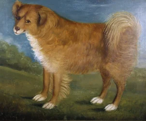 Brun hund i ett landskap, ca 1850 (olja på duk)