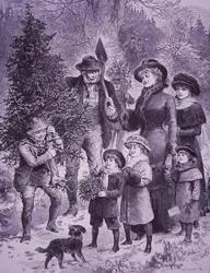 Julgranssäljare (gravyr)