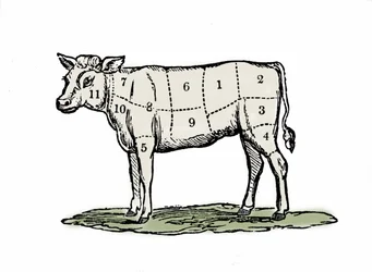 Klämning av kalvkött.