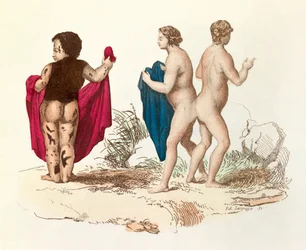 "Buffons samlade verk": Människans naturhistoria: ung svart person med hirsutism och siames (gravyr)