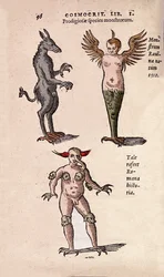 Olika monster och fantastiska varelser från Krakow och Ravenna Plate hämtade från "" De Natura Divini Caracterismis"" av Cornelio Gemma