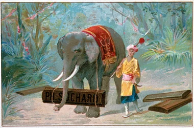 Elephant and Cornac, reklam för "" Suchard", v. 1895