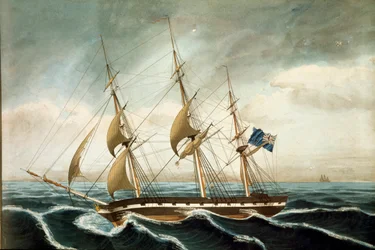 Engelsk korvett (tryck
