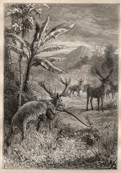 Expedition Around the World (1785-1788) av Jean Francois Galaup de La Perouse (1741-1788): jaktteknik för indianerna i Bay of Monterey (Kalifornien) - illustration från "The Grands Mariners of the 18th century"