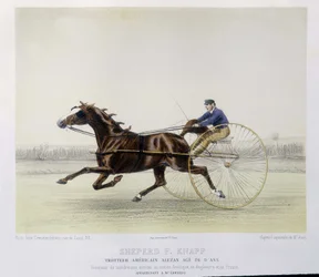 Ridning: Shepherd F. Knapp, travare - i "" the centaur""