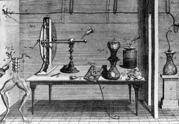 Illustration av experiment av Luigi Galvani, italiensk fysiker och läkare (1737 - 1798) som förklarar passagen av elektrisk ström som rör benen på en groda.