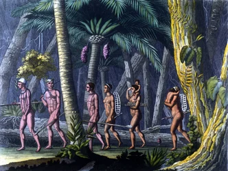 Purisindianer i skogen (Brasilien) - i "" Den antika och moderna kostymen"" av Ferrario, red. Milano
