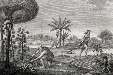 Ursprungsbefolkningen arbetar på landet i Orenoque-bassängen i Colombia. Gravyr 1780