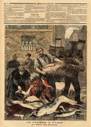 Fiskmarknaden i Paris. Gravyr i "" Le petit journal""" 1893-03-04. Samling av Selva.