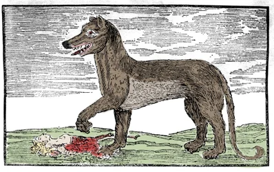 La bete du Gevaudan Gravyr från "Saint Jakobs krönika"